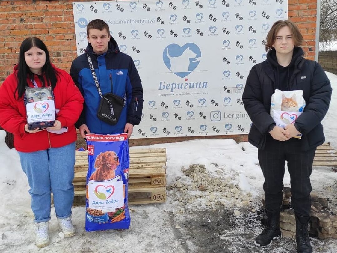 Беригиня, Помощь животным, волонтеры