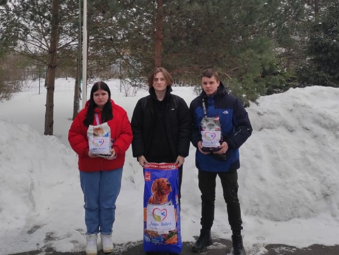 Беригиня, Помощь животным, волонтеры