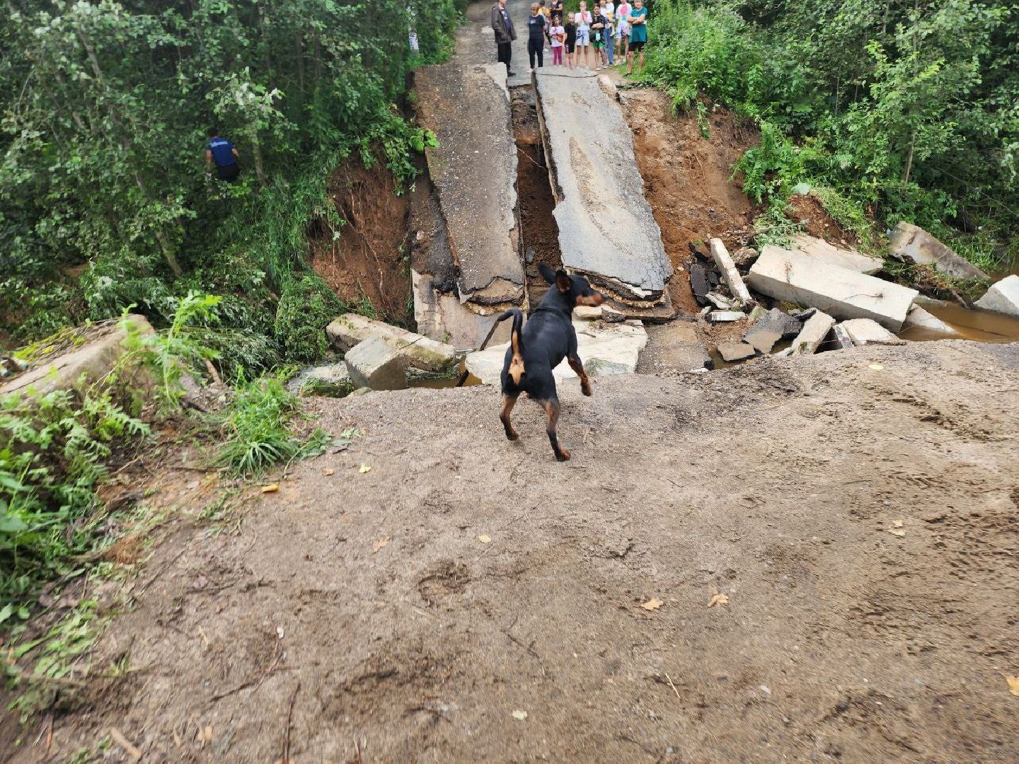 Истра, ЧП, Дороги,