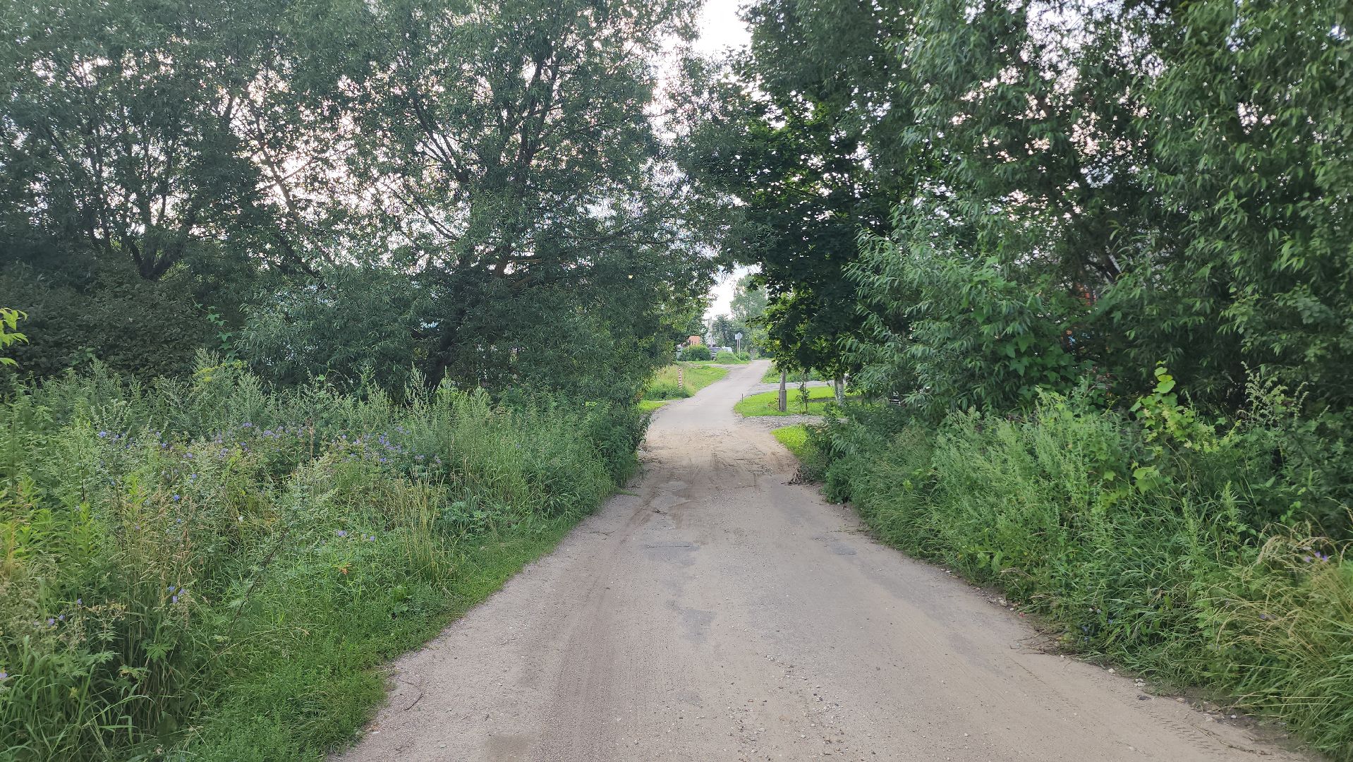 выездная администрация, прием жителей, подтопления, ногинск, богородский городской округ,