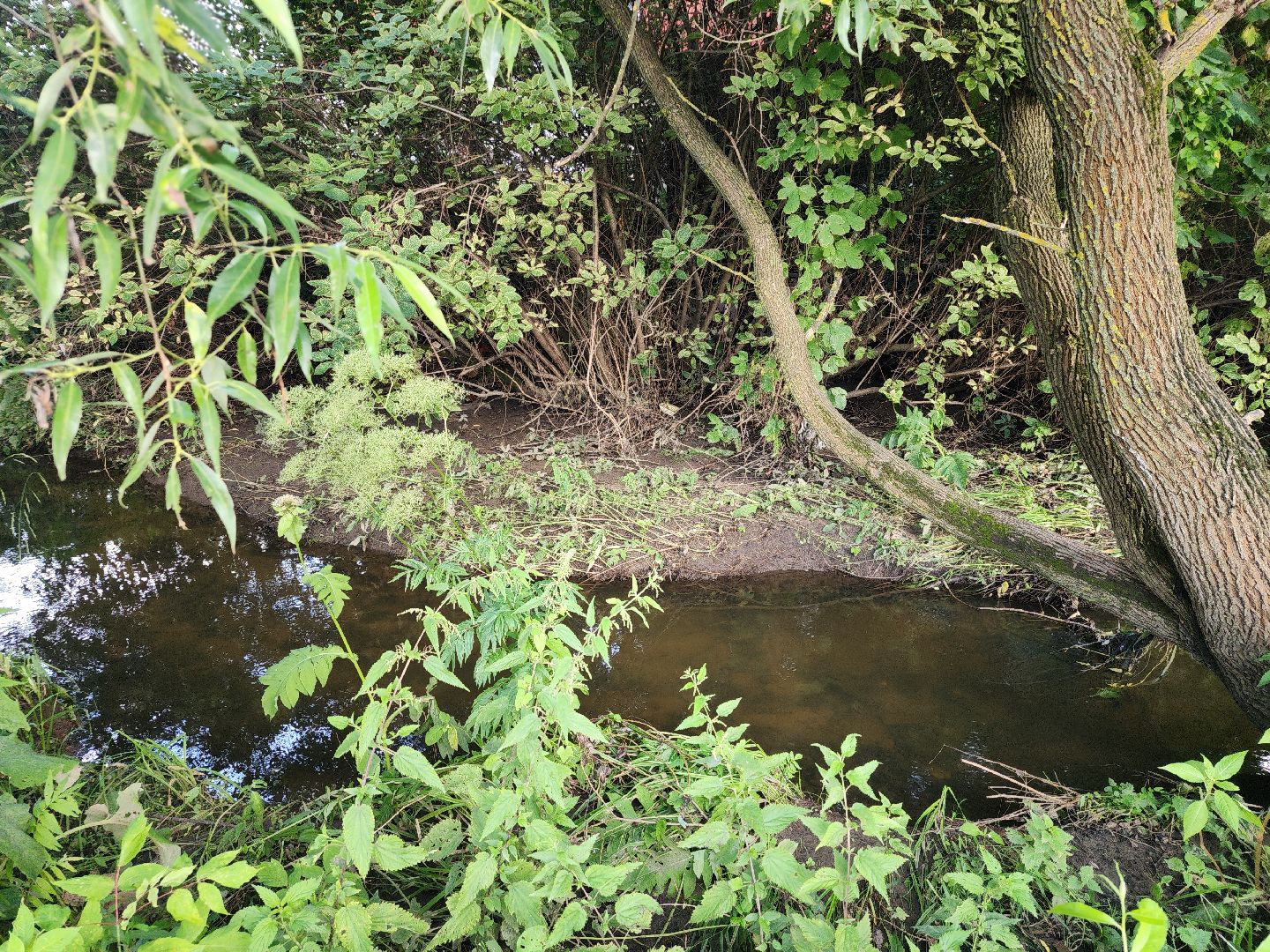 выездная администрация, прием жителей, подтопления, ногинск, богородский городской округ,