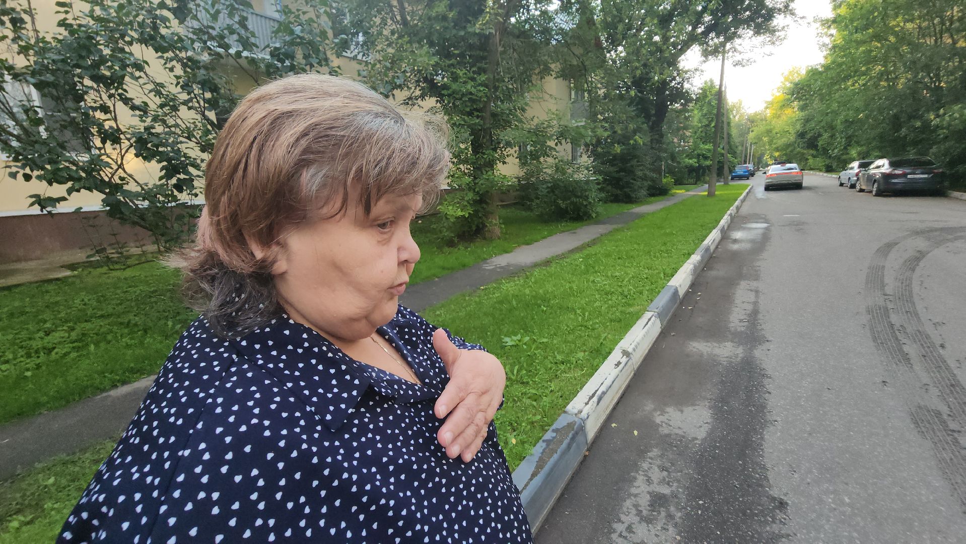 долгопрудный, выездная администрация, островок,ямы на дорогах, опил деревьев, олегсотник,