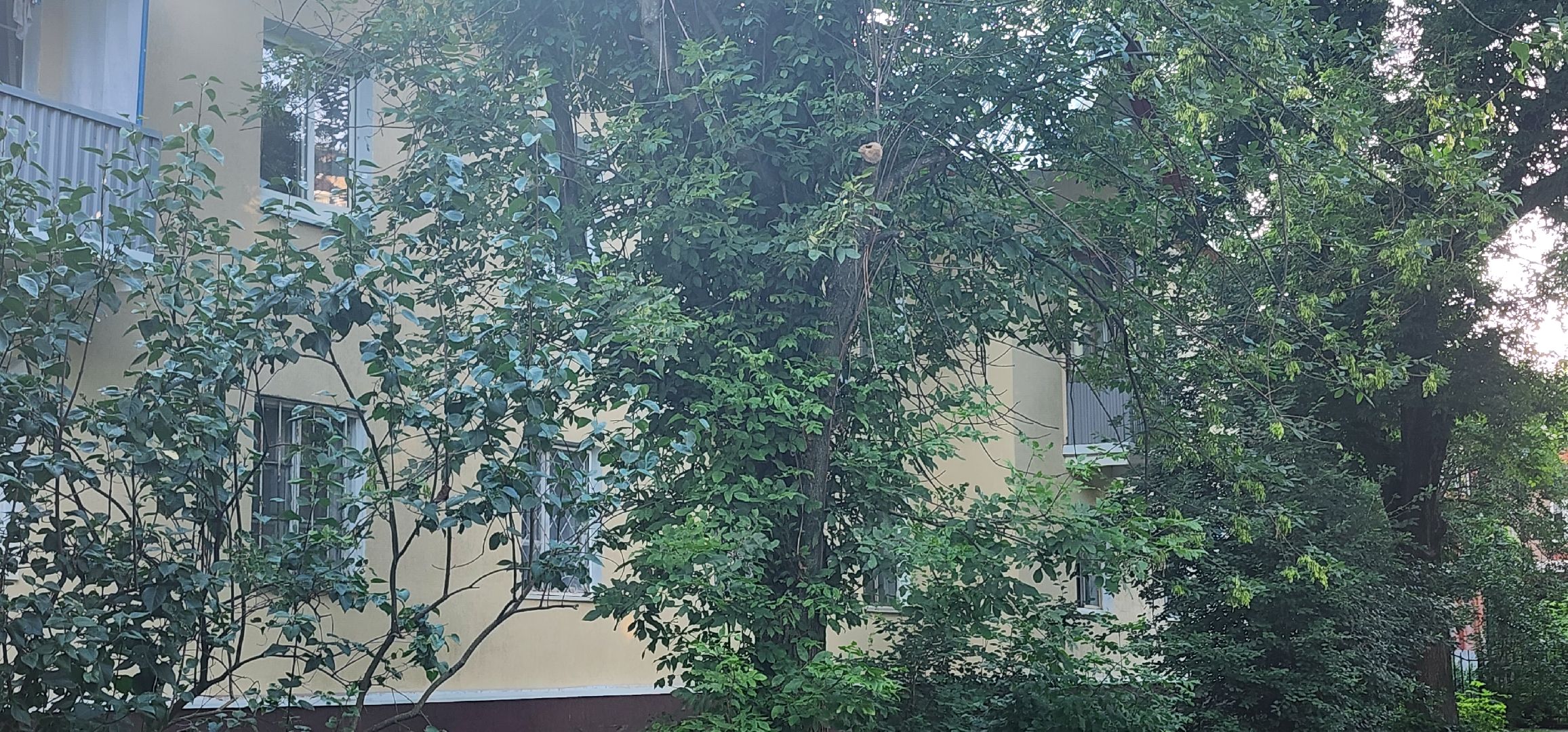 долгопрудный, выездная администрация, островок,ямы на дорогах, опил деревьев, олегсотник,