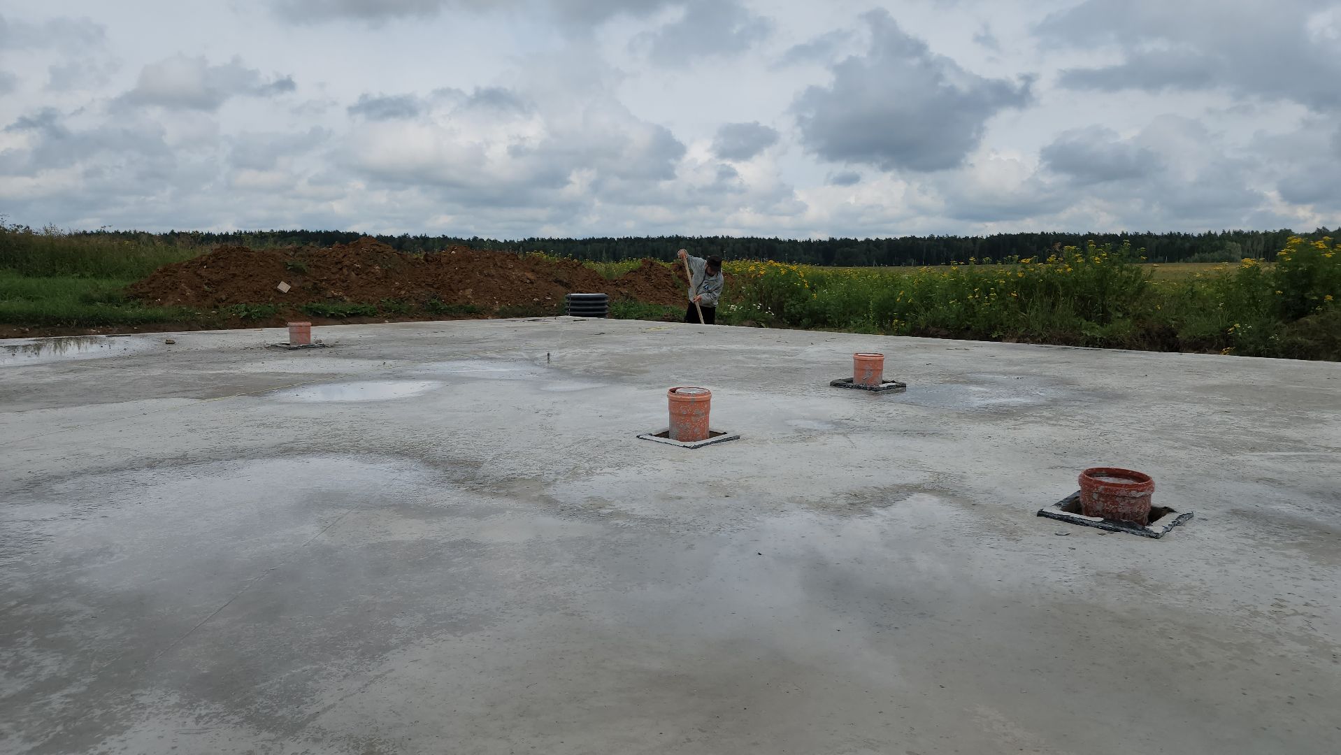 ступино, экономика, гранты, бизнес, сельское хозяйство,