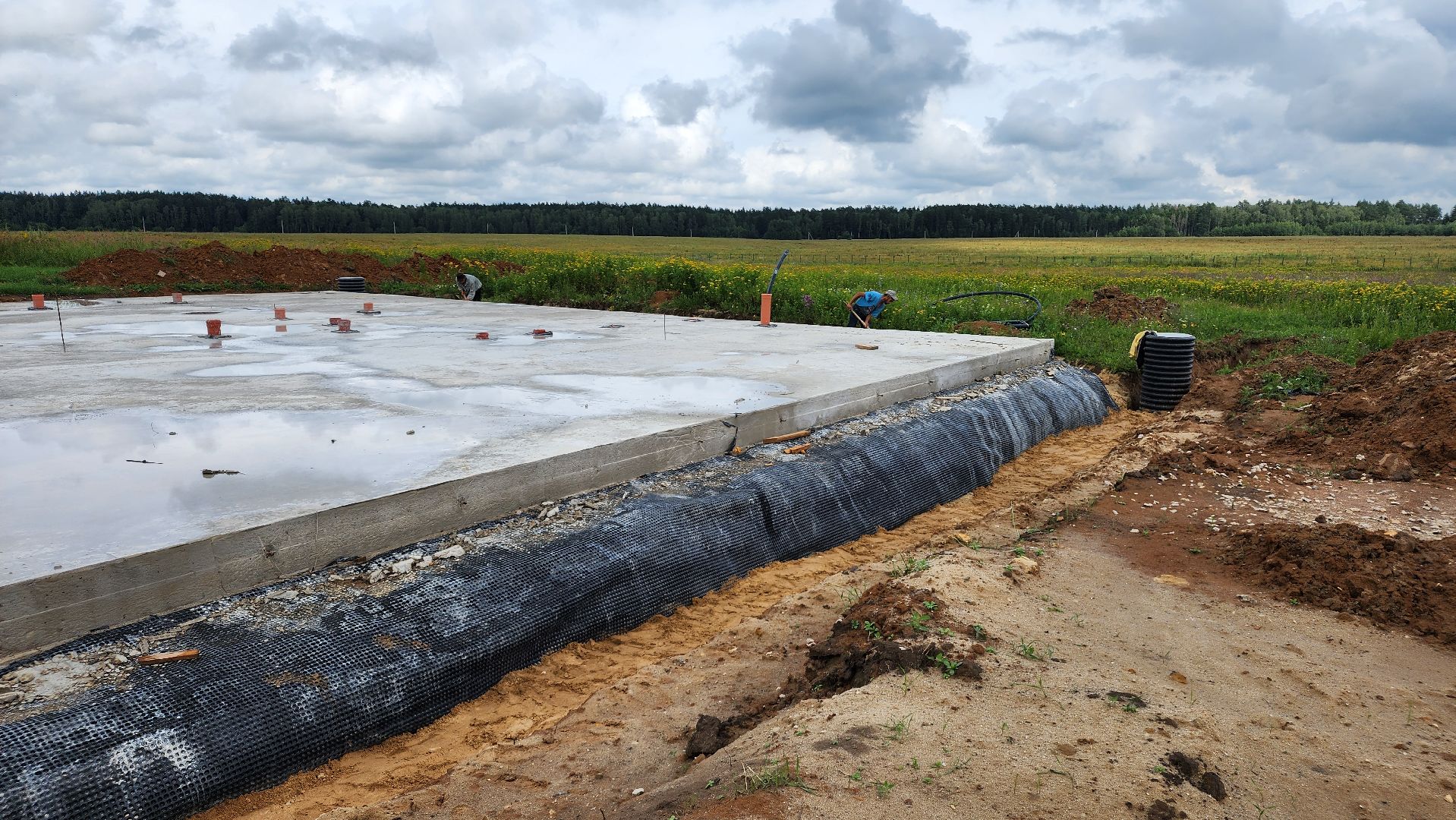 ступино, экономика, гранты, бизнес, сельское хозяйство,