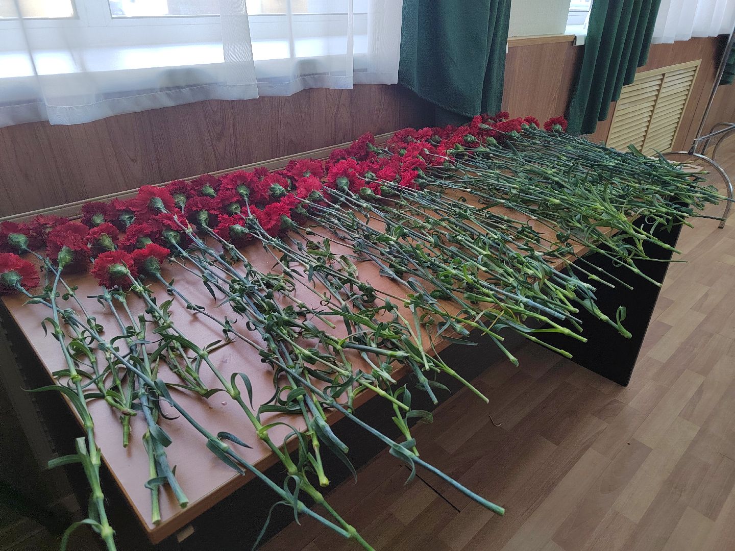 Пушкино, медицина, 9 мая, память, День Победы