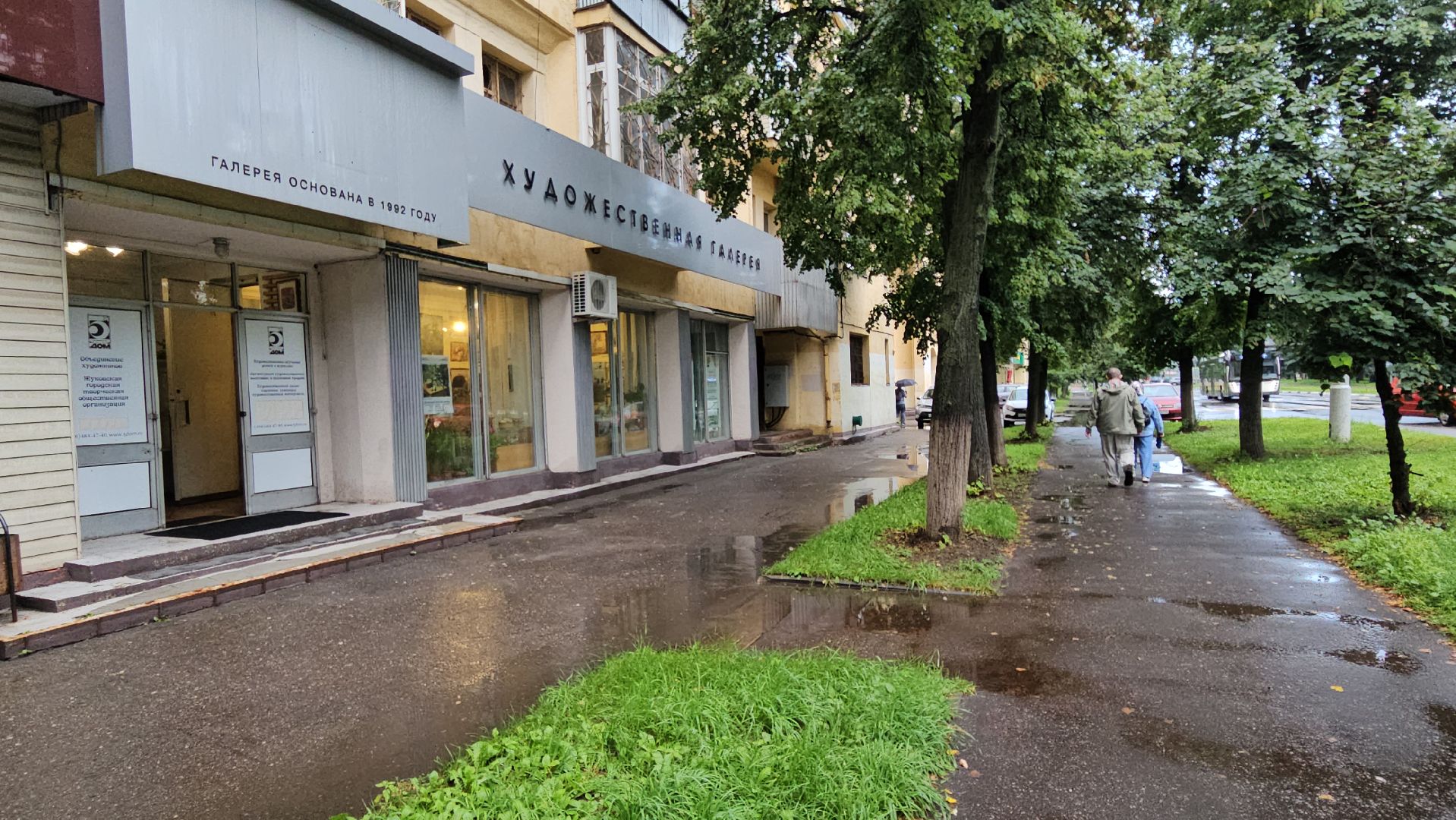 художница, жуковский, выставка,