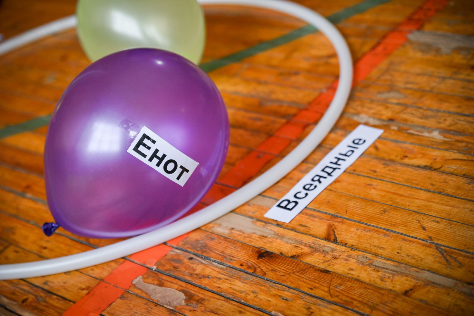 бронницы, дети, лагерь дневного пребывания , летний лагерь в бронницах,