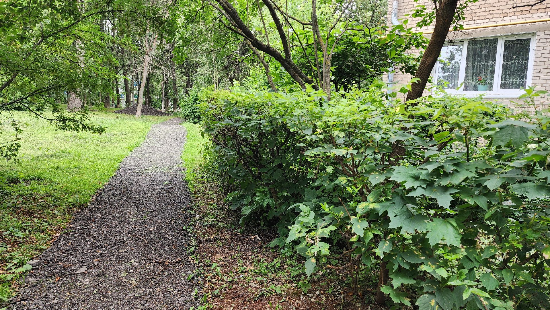 народная тропа, пешеходная дорога, пешеходная дорожка, тротуар, домодедово, подмосковье, жкх,