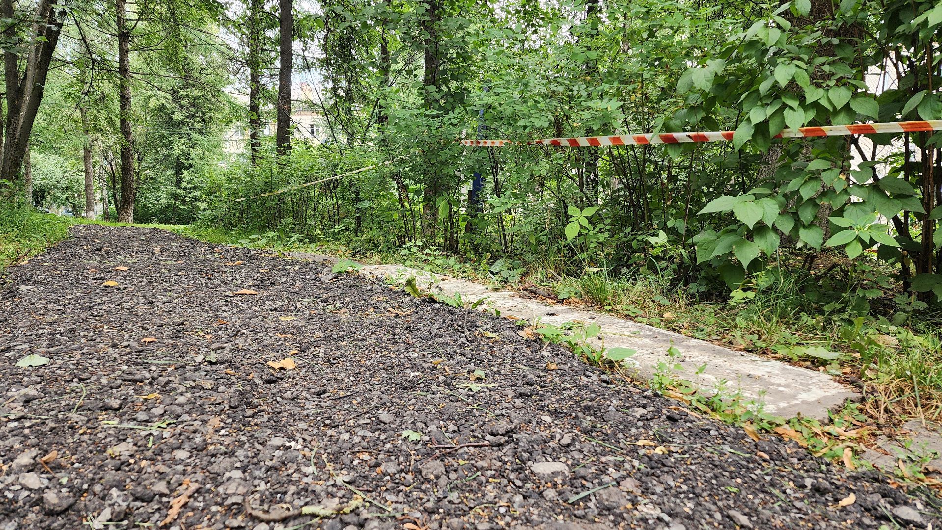 народная тропа, пешеходная дорога, пешеходная дорожка, тротуар, домодедово, подмосковье, жкх,