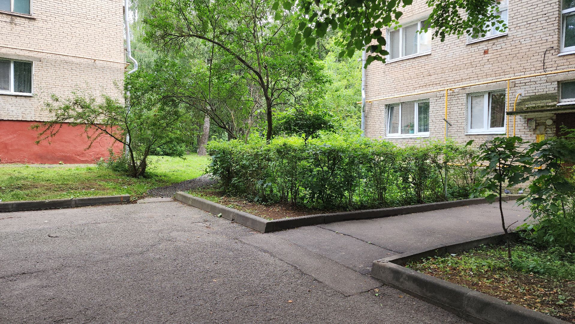 народная тропа, пешеходная дорога, пешеходная дорожка, тротуар, домодедово, подмосковье, жкх,