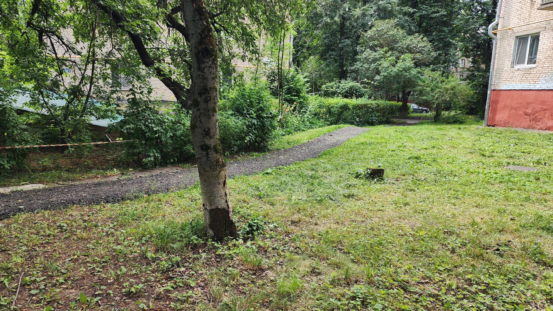 народная тропа, пешеходная дорога, пешеходная дорожка, тротуар, домодедово, подмосковье, жкх,