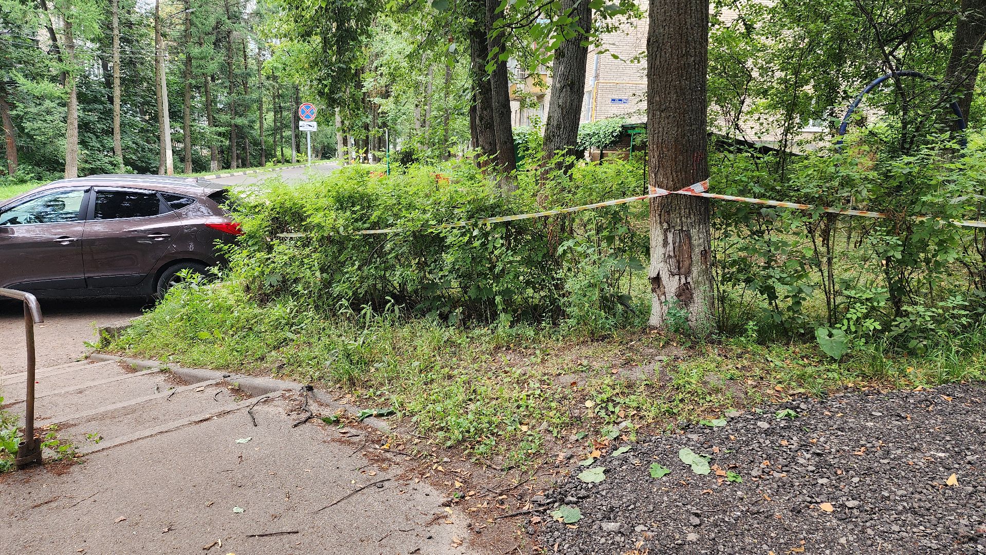 народная тропа, пешеходная дорога, пешеходная дорожка, тротуар, домодедово, подмосковье, жкх,