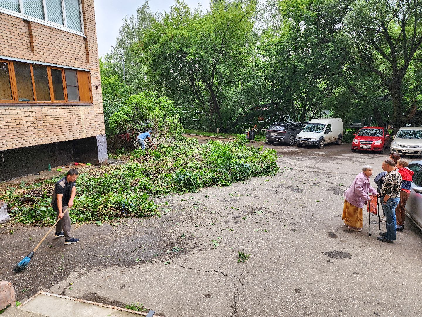 Подольск, Климовск, Выездная администрация, Спилили дерево, обращение жителей,