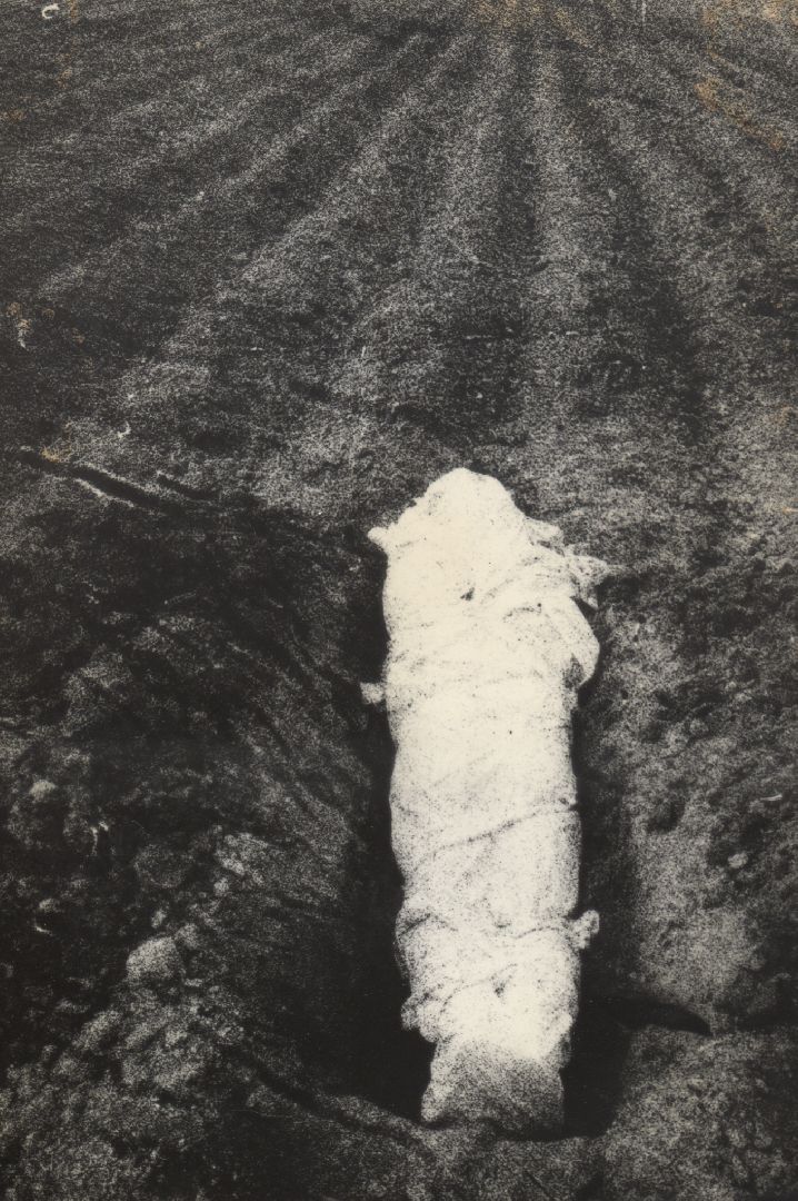 Одинцово, Немчиновка, Малевич, Ромашково, авангард, Могила, кенотаф, памятник, Будда, Ашока,