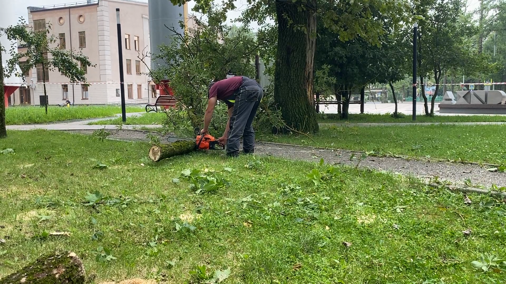 модернизация теплосетей, власихе теплосеть, власиха площадь дк, компенсационная посадка деревьев,