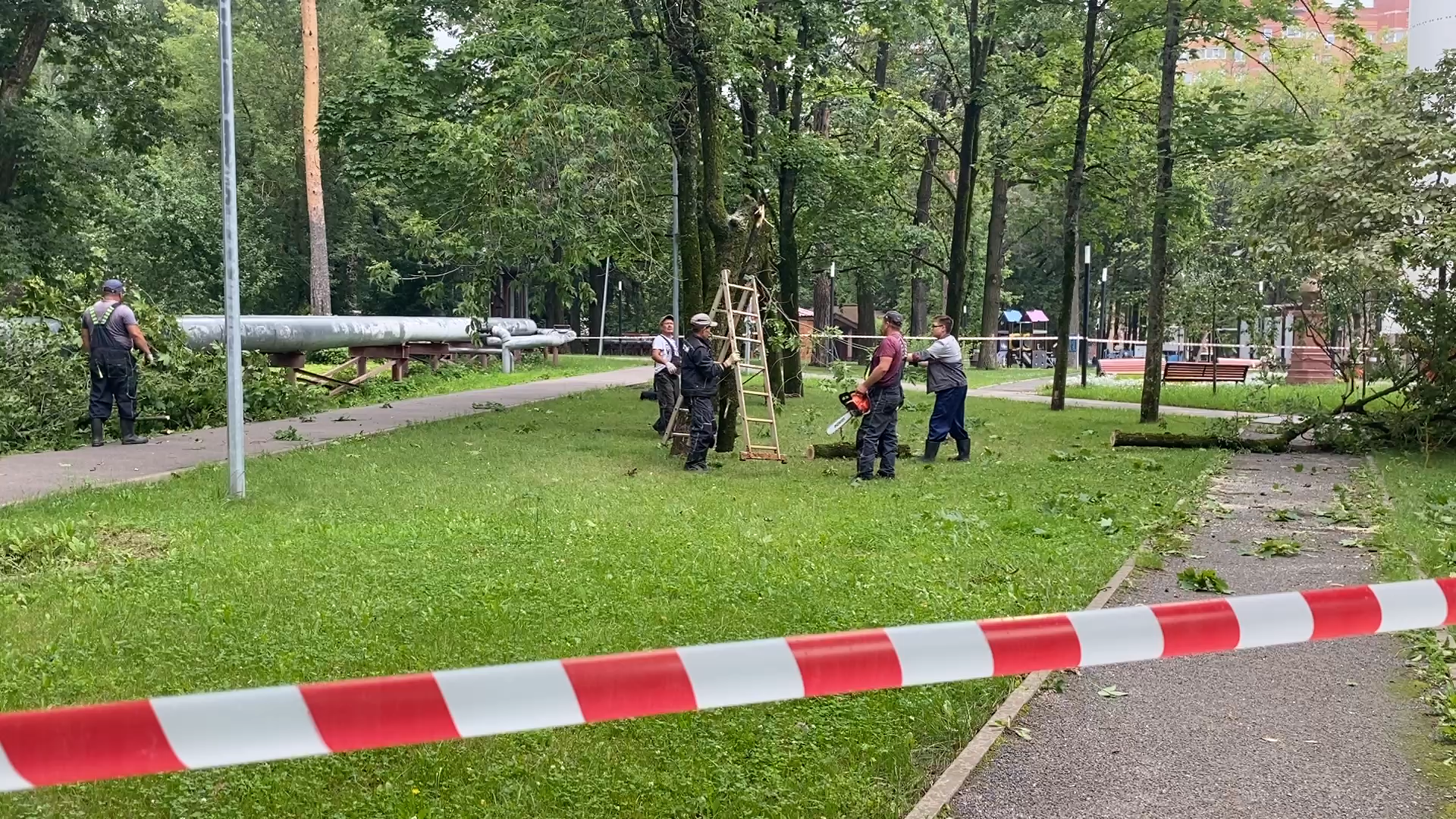 модернизация теплосетей, власихе теплосеть, власиха площадь дк, компенсационная посадка деревьев,