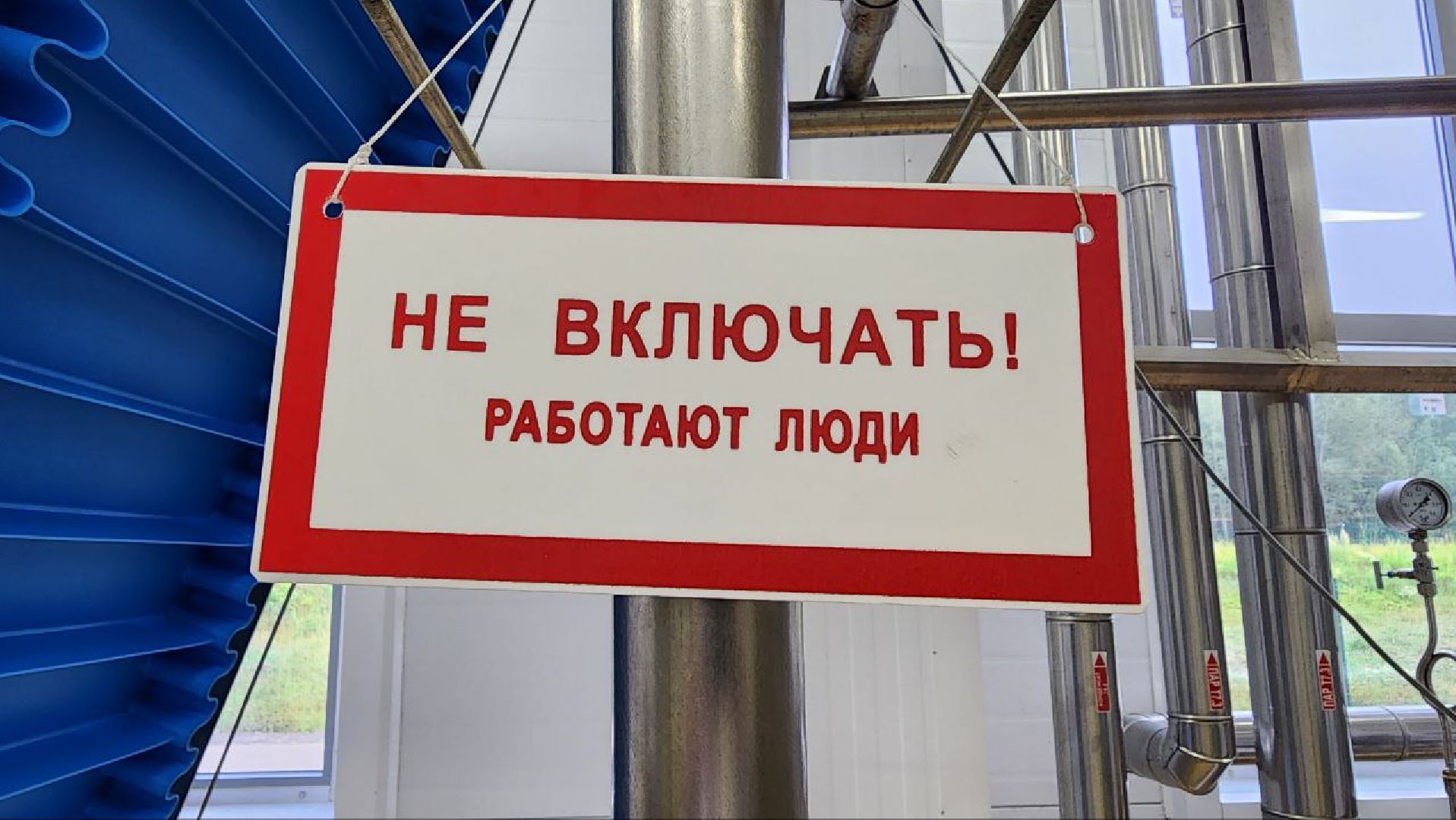 Дмитров, Первый кулинарный, Альфа Шеф, Мининвест,