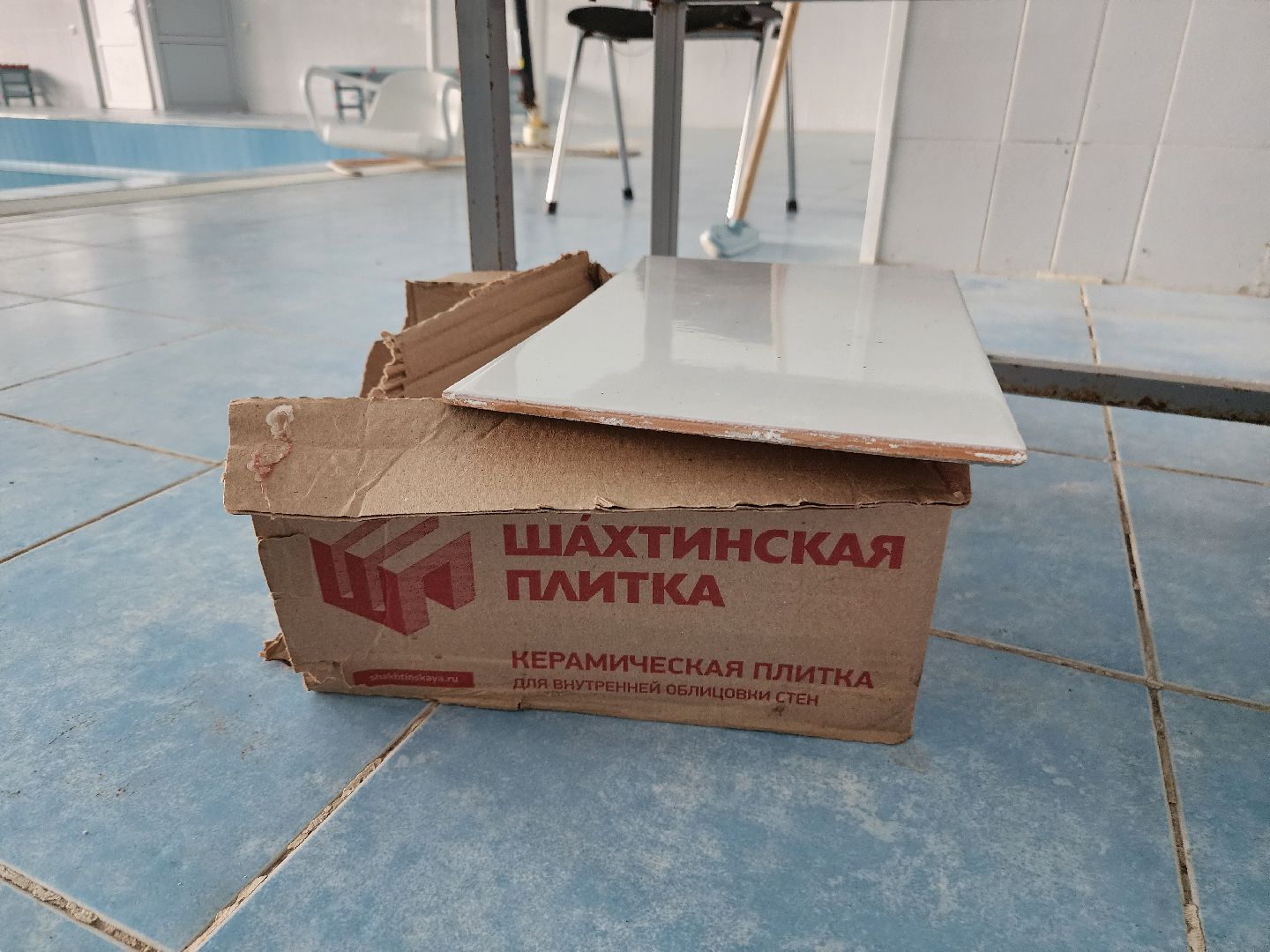 фрязино, бассейн, олимп,