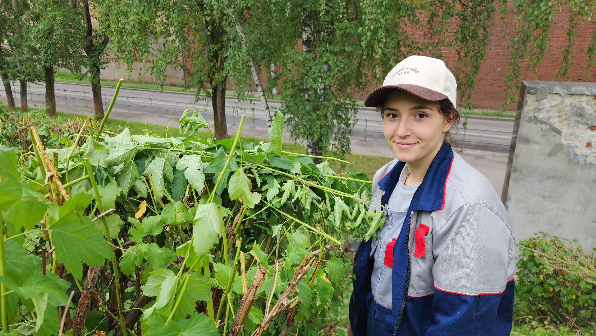 серпухов, подмосковье, формовочная стрижка,