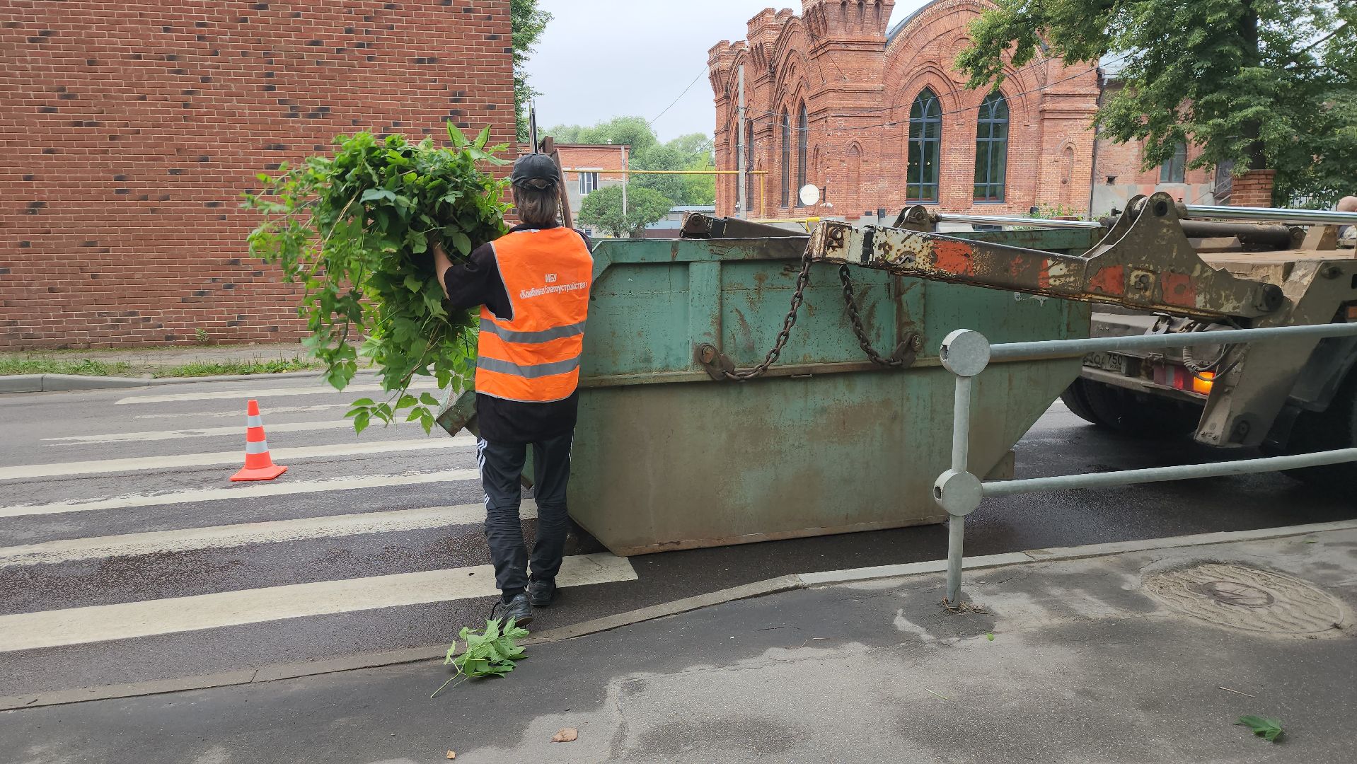 серпухов, подмосковье, формовочная стрижка,