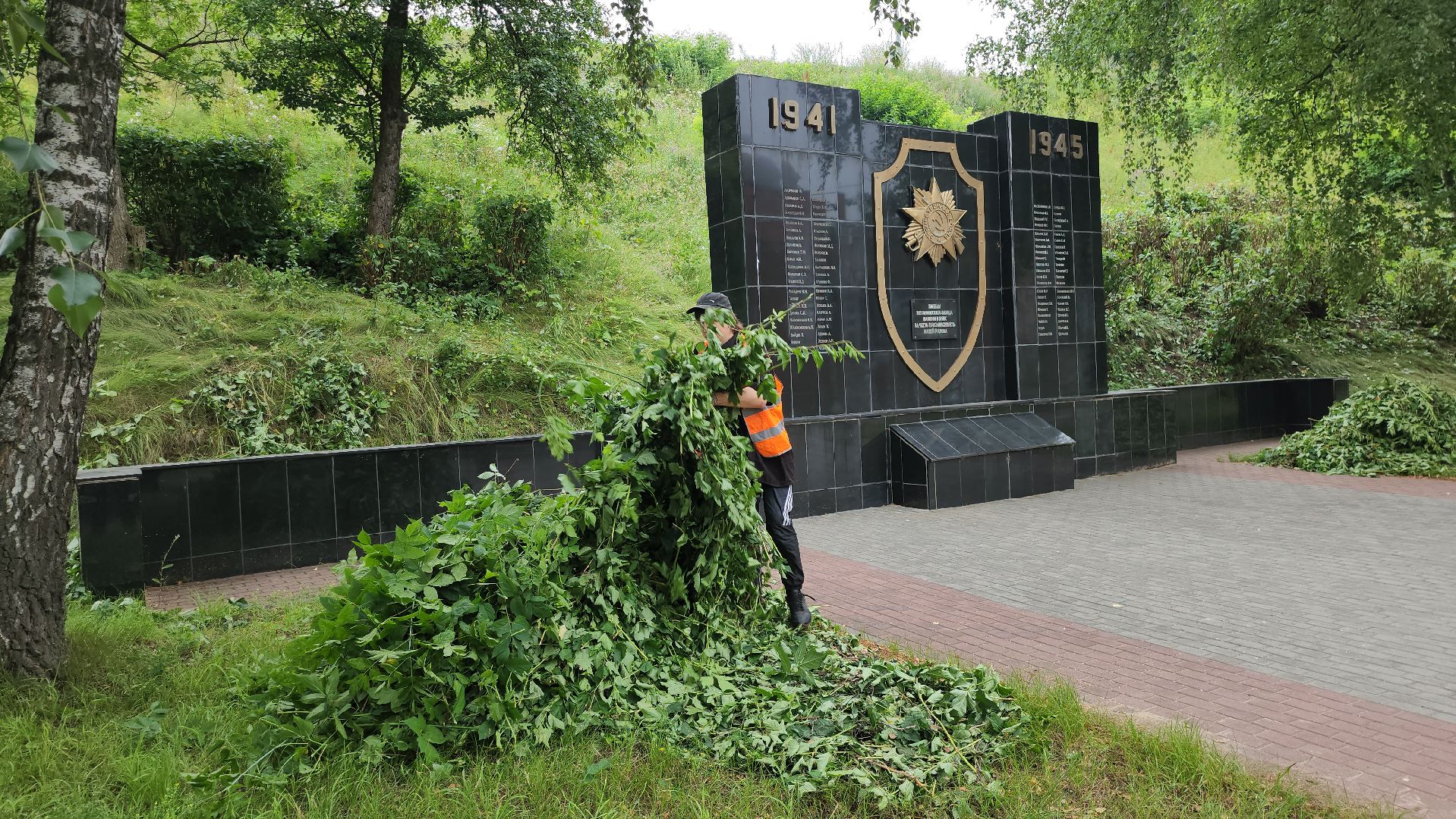 серпухов, подмосковье, формовочная стрижка,