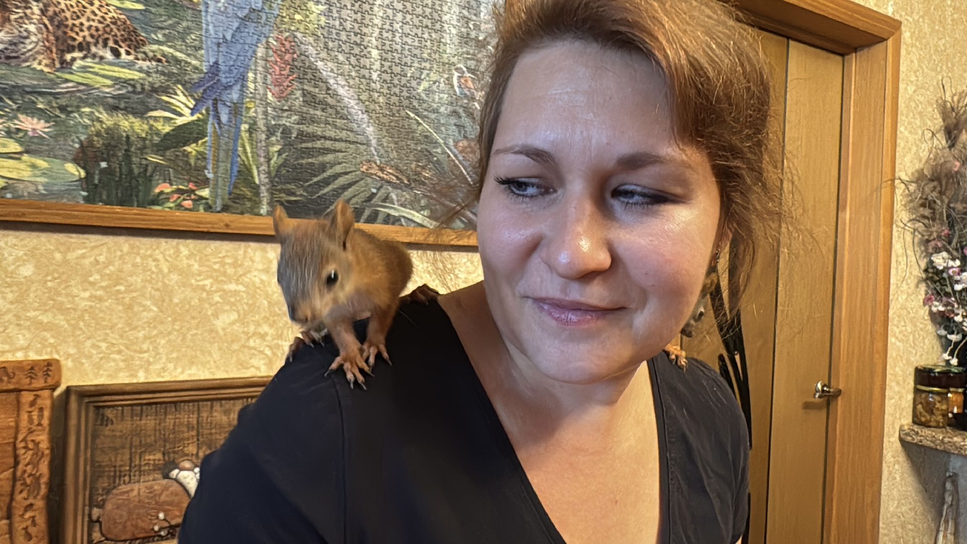 Экология Одинцово, Спасение бельчат, Анна Колесникова,