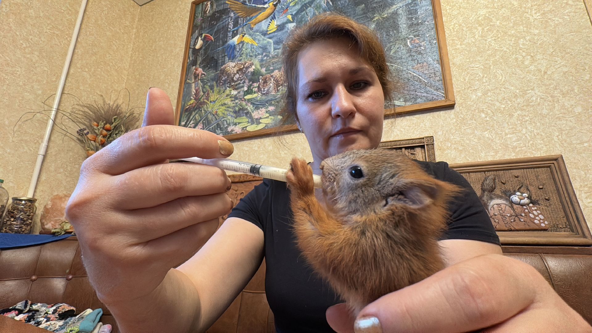 Экология Одинцово, Спасение бельчат, Анна Колесникова,