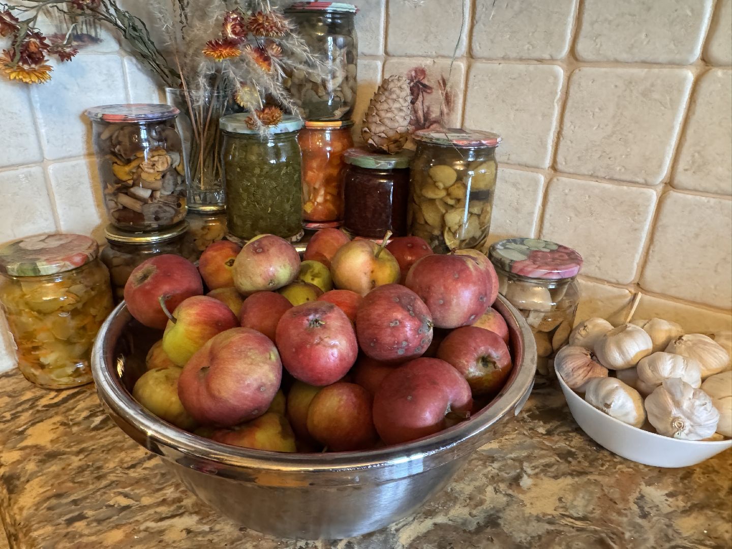 Экология Одинцово, Спасение бельчат, Анна Колесникова,