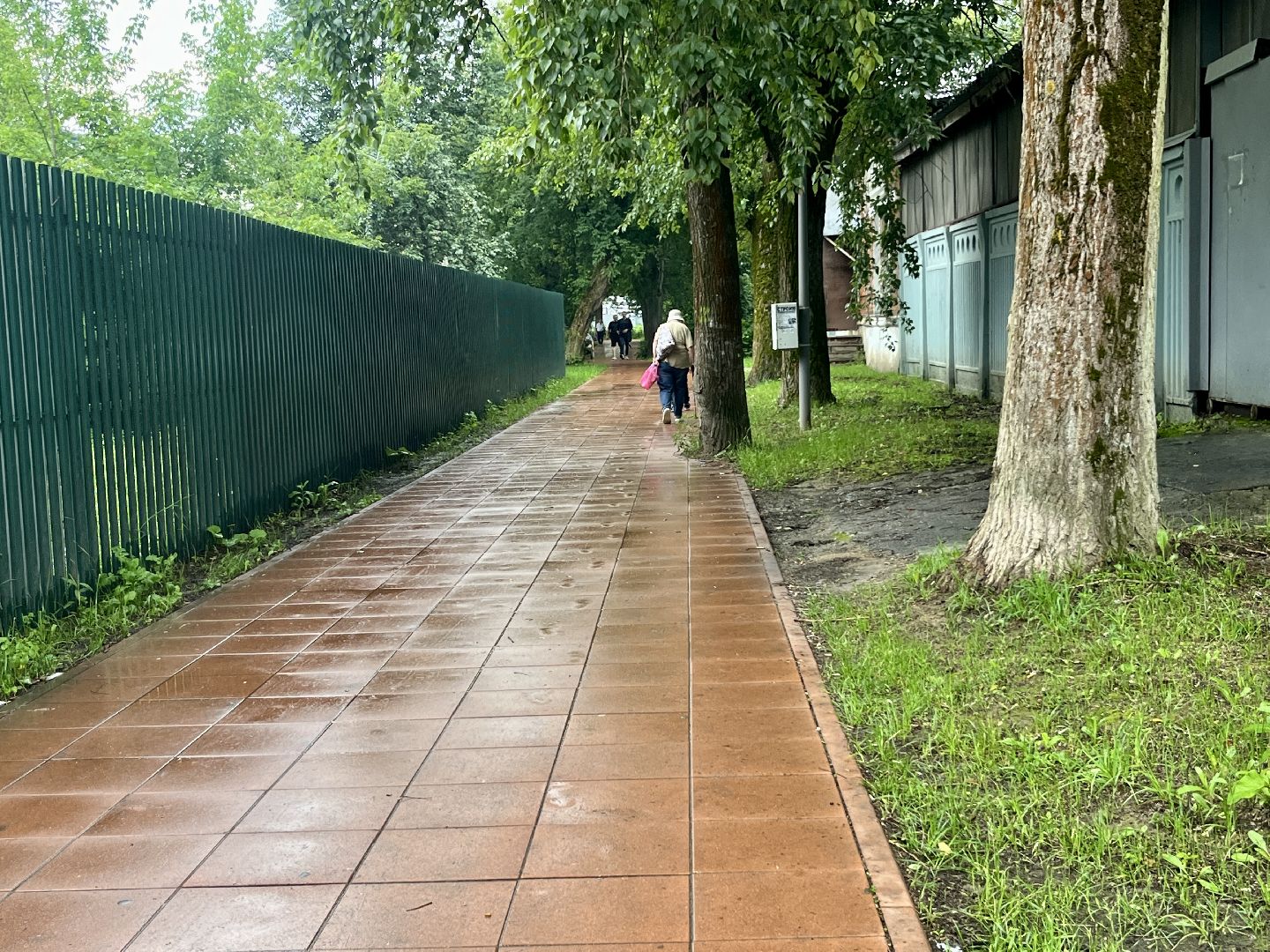 наро-фоминский городской округ, выездная администрация апрелевка, роман шамнэ, транспортный вопрос, фок мелодия,