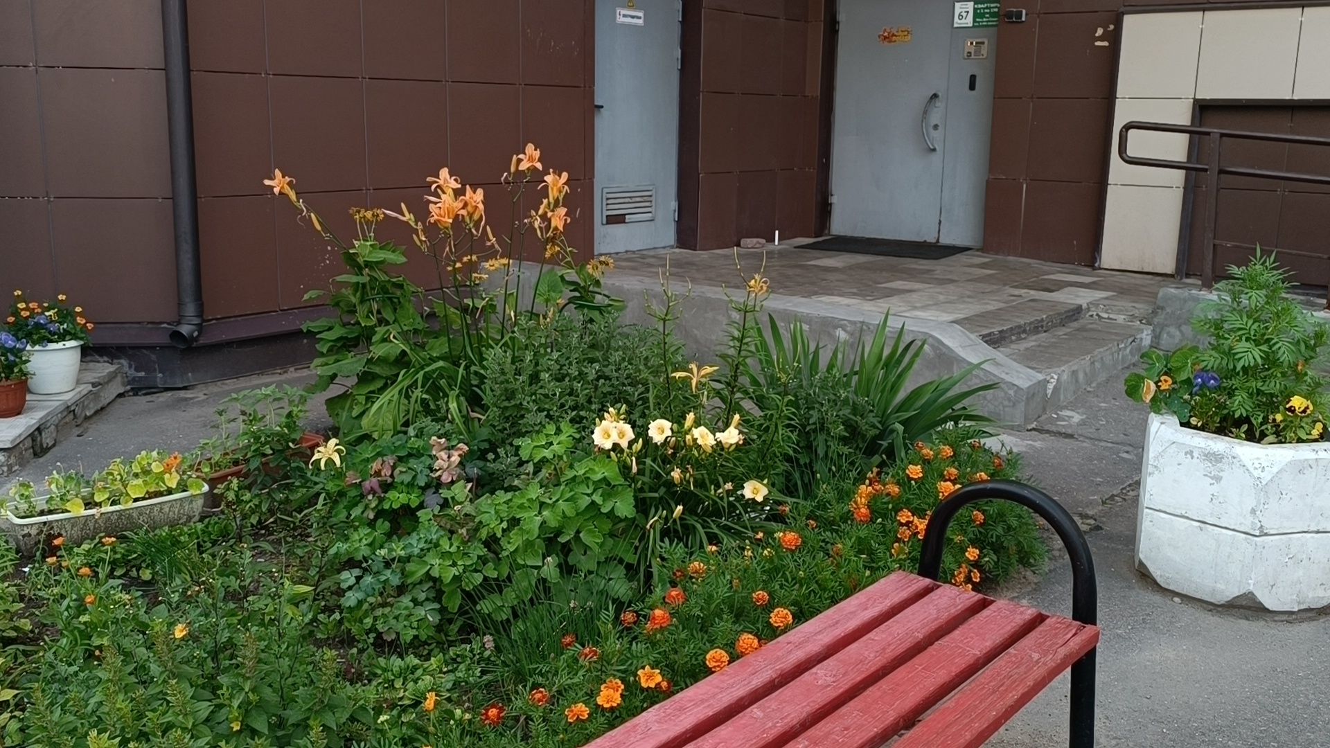 цветы, мкд, лобня,