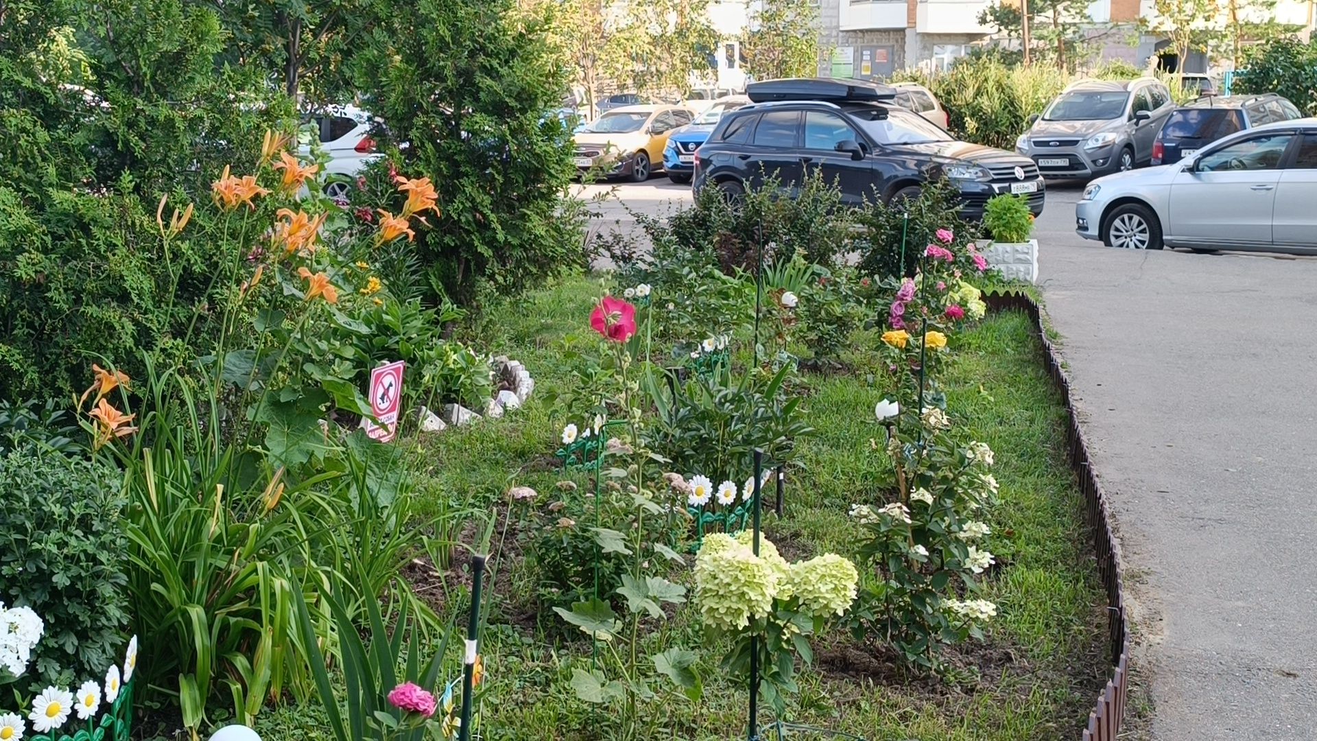 цветы, мкд, лобня,