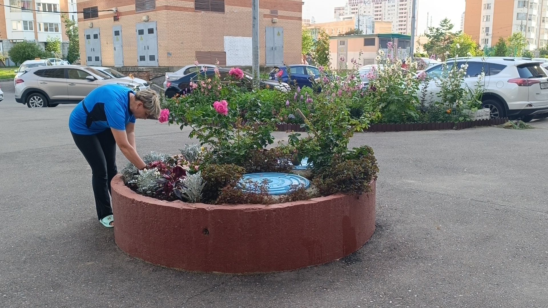 цветы, мкд, лобня,