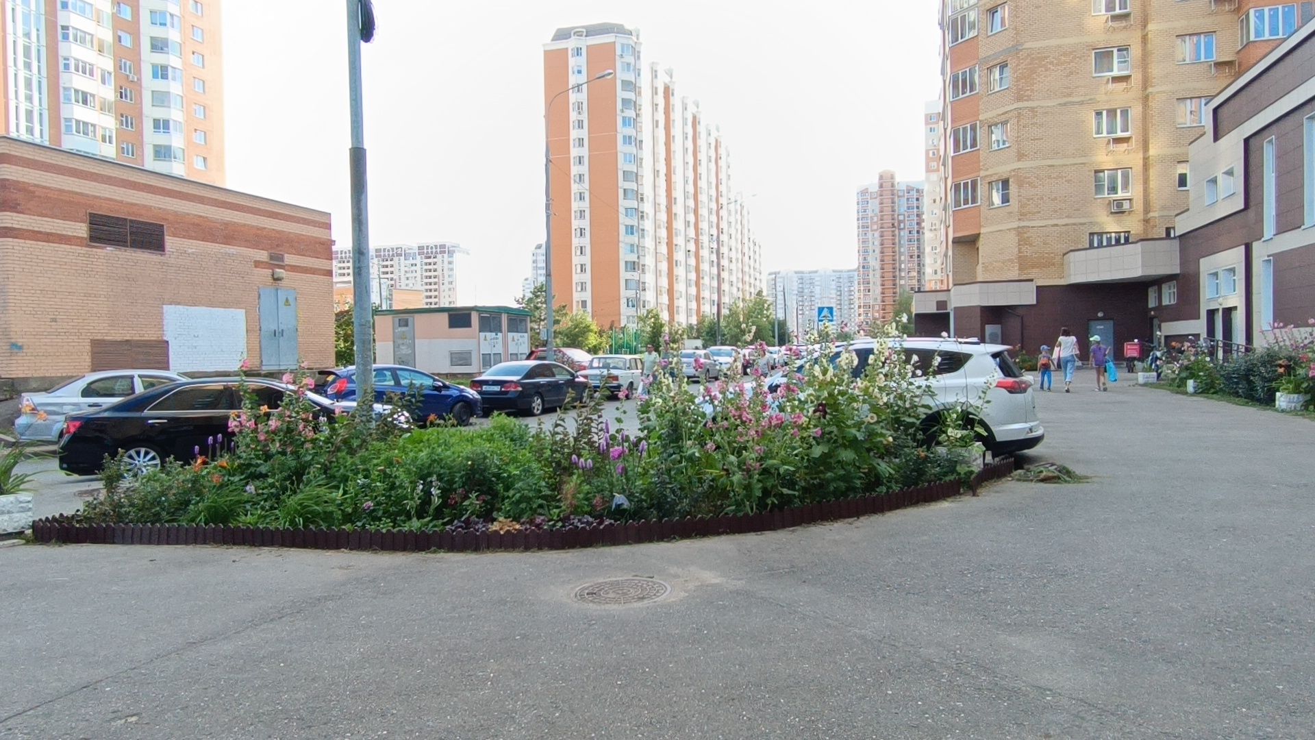 цветы, мкд, лобня,