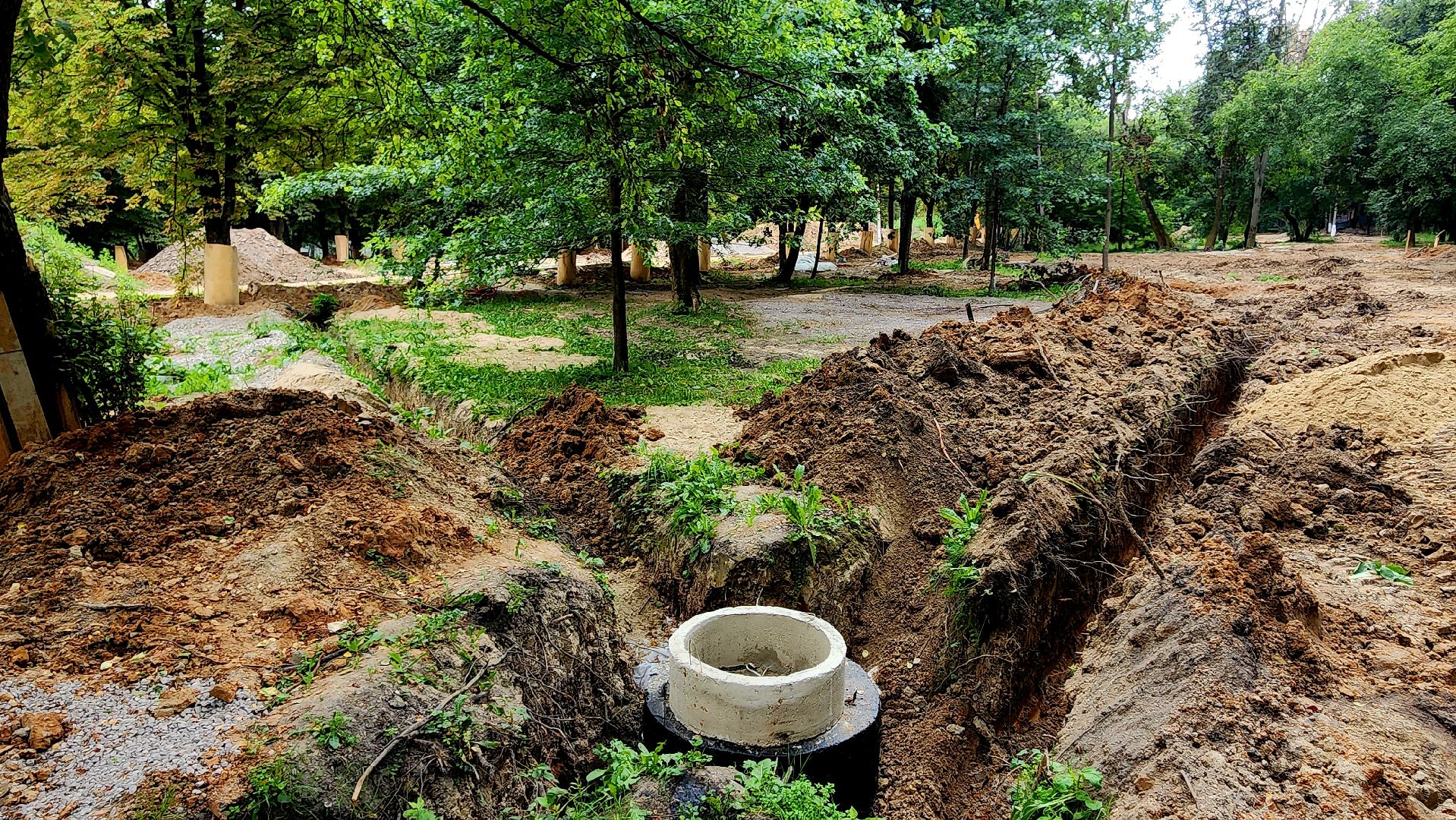 серпухов, подмосковье, реконструкция парка, парк питомник,