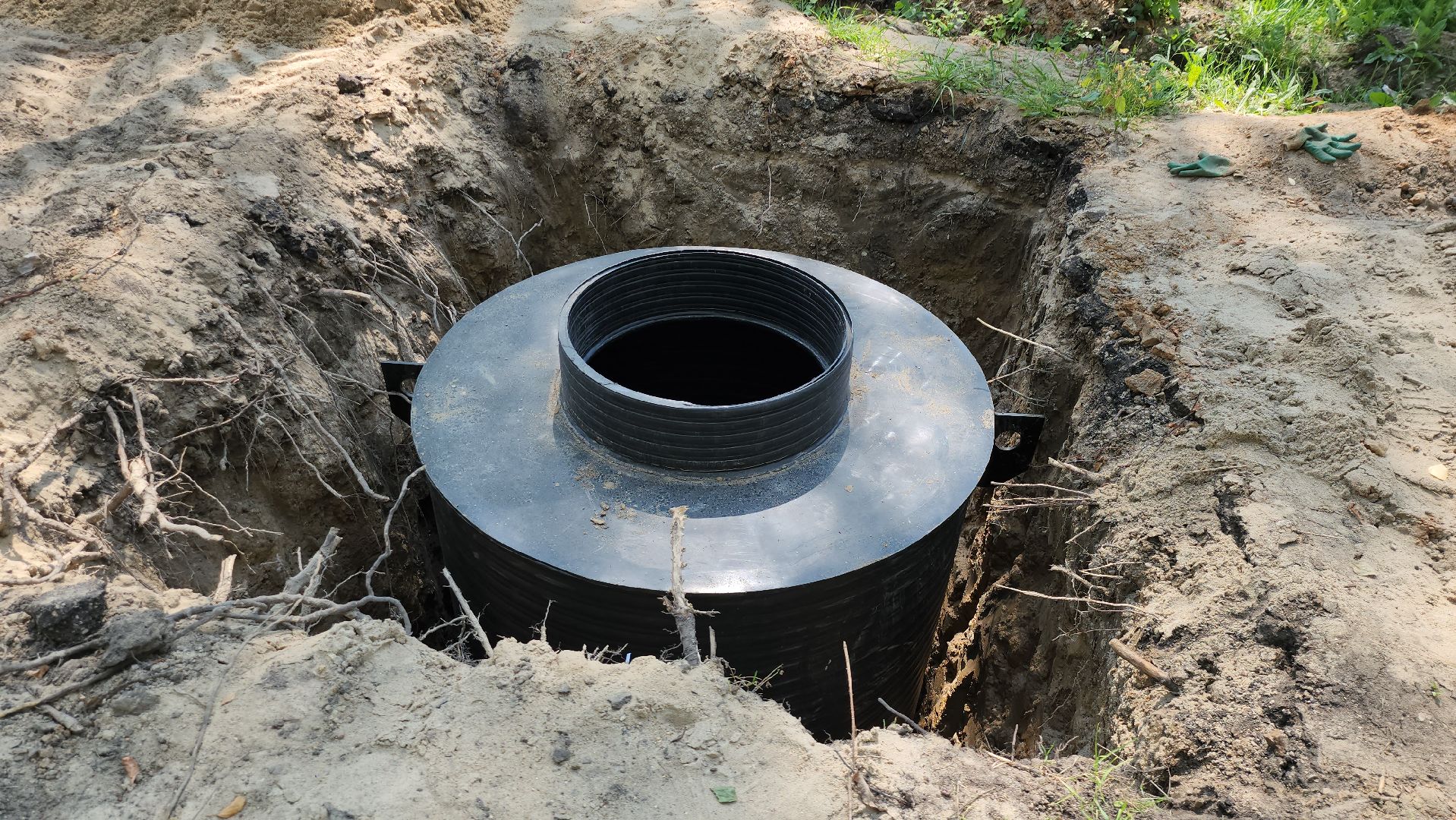 серпухов, подмосковье, реконструкция парка, парк питомник,