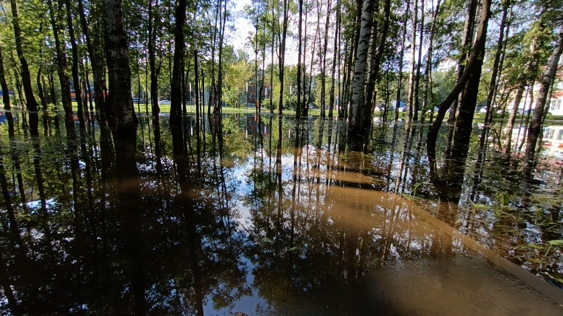 парк, подтопление, лобня,