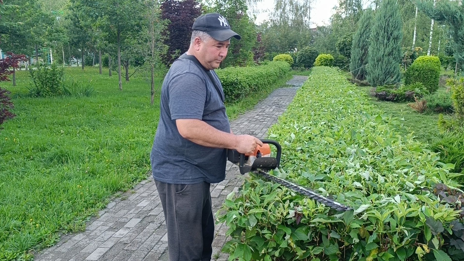 парк, подтопление, лобня,