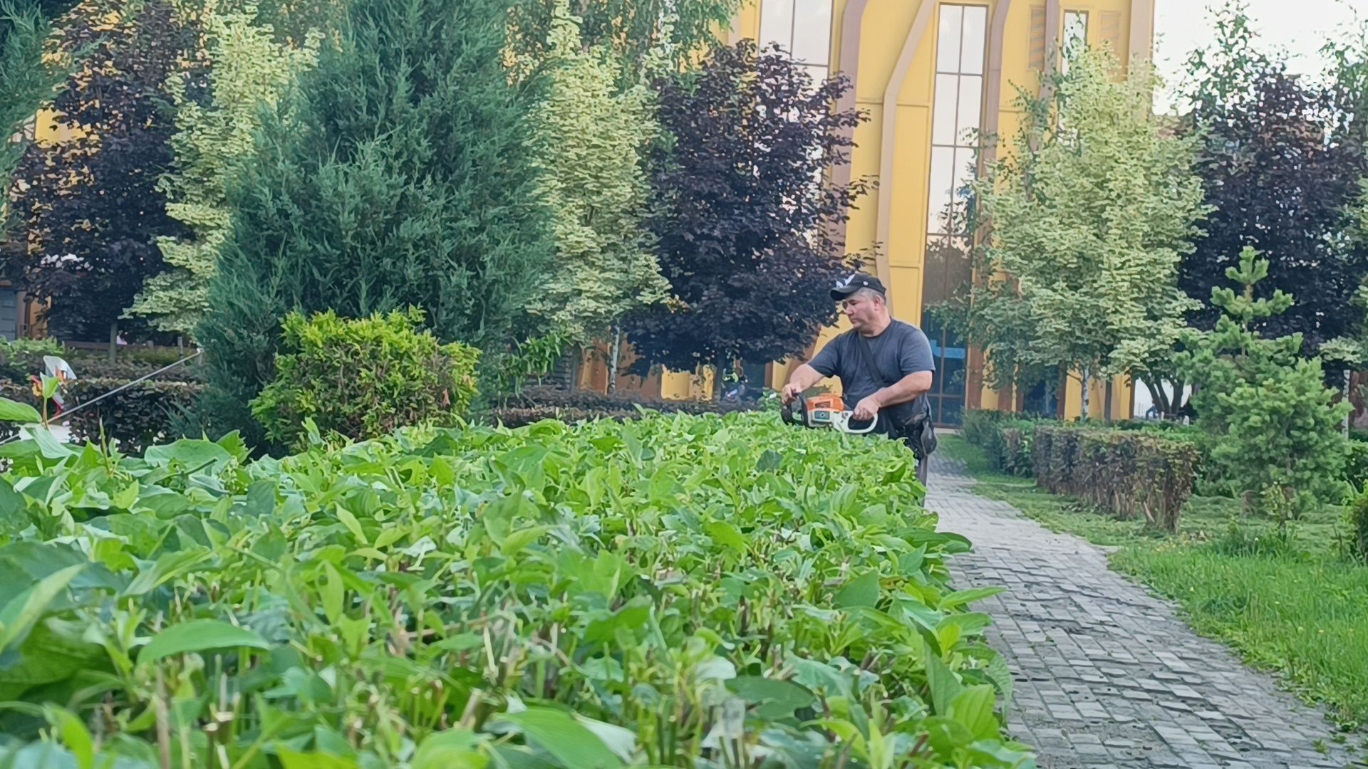 парк, подтопление, лобня,