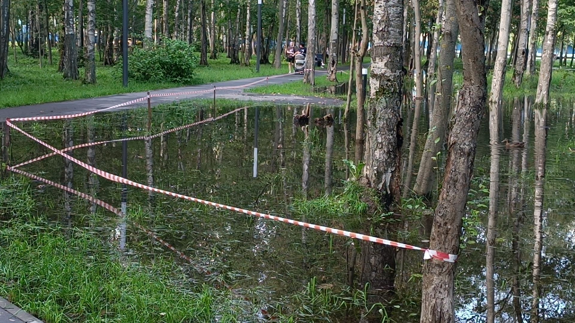 парк, подтопление, лобня,