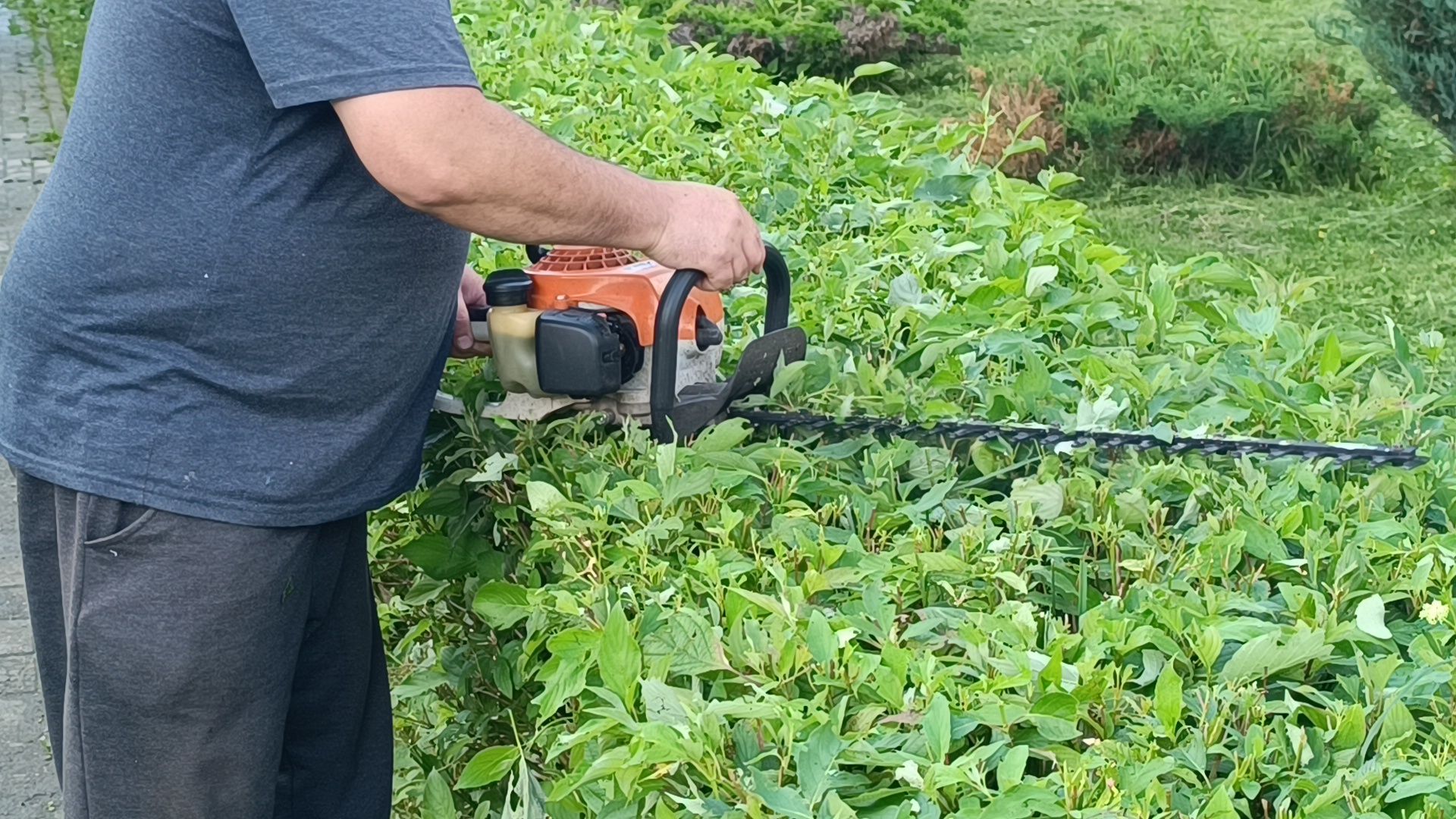 парк, подтопление, лобня,