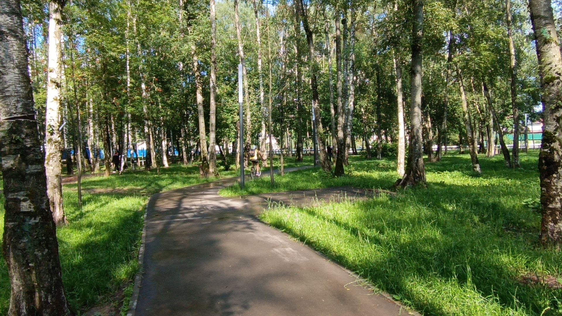 парк, подтопление, лобня,