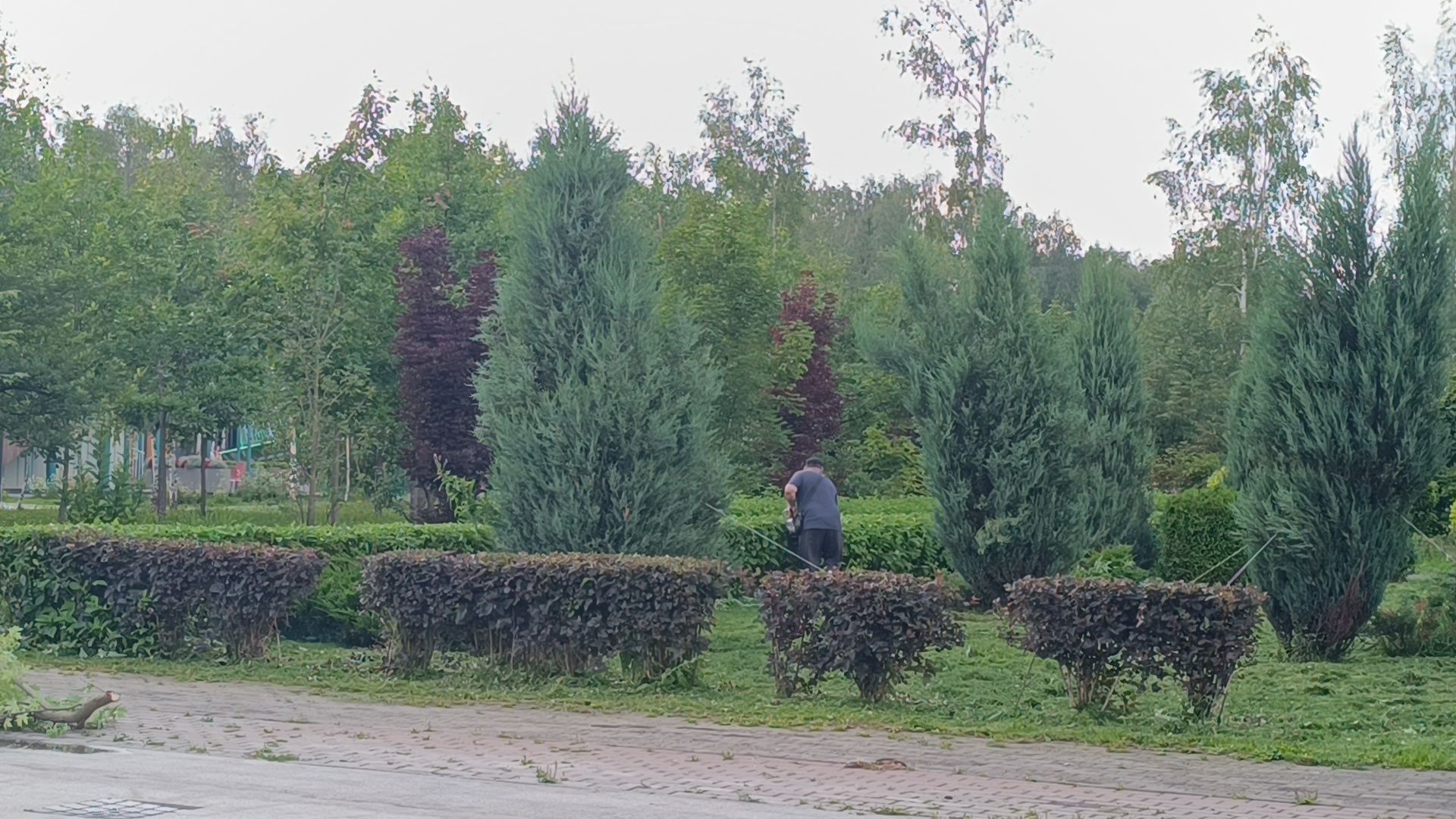 парк, подтопление, лобня,