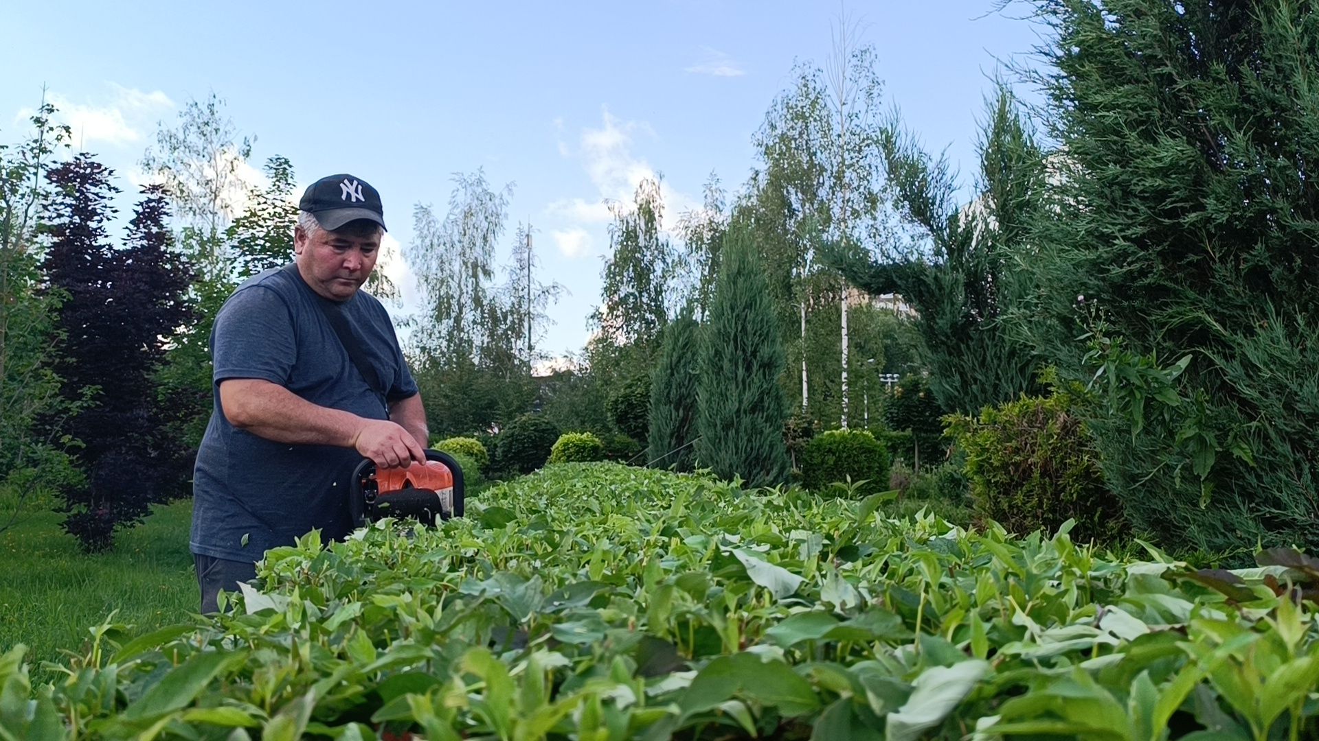 парк, подтопление, лобня,