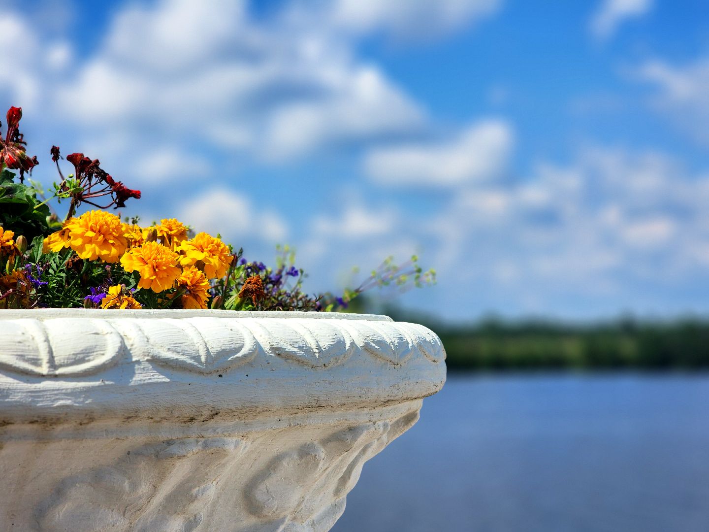 дубна, менделеевская набережная, благоустройство, малые архитектурные формы,