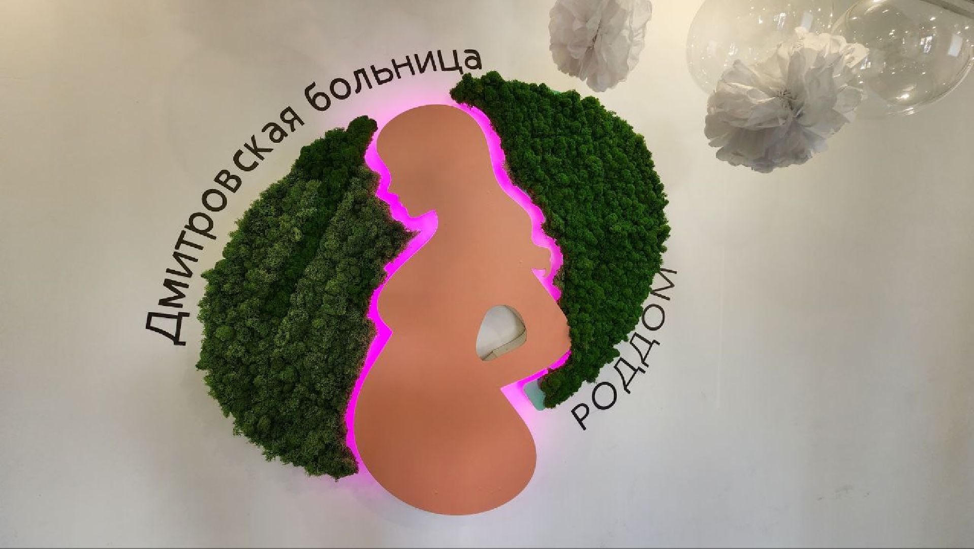 Дмитров, Дмитровская больница, Дом рождения, Минздрав,