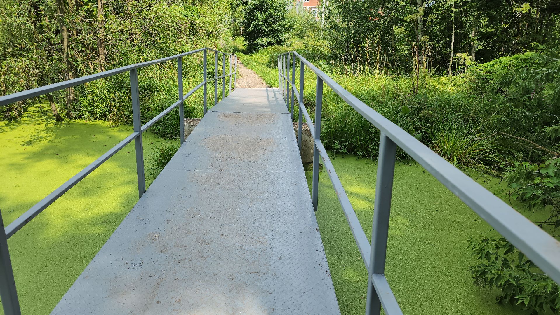 луховицы, пешеходный мост, благоустройство,