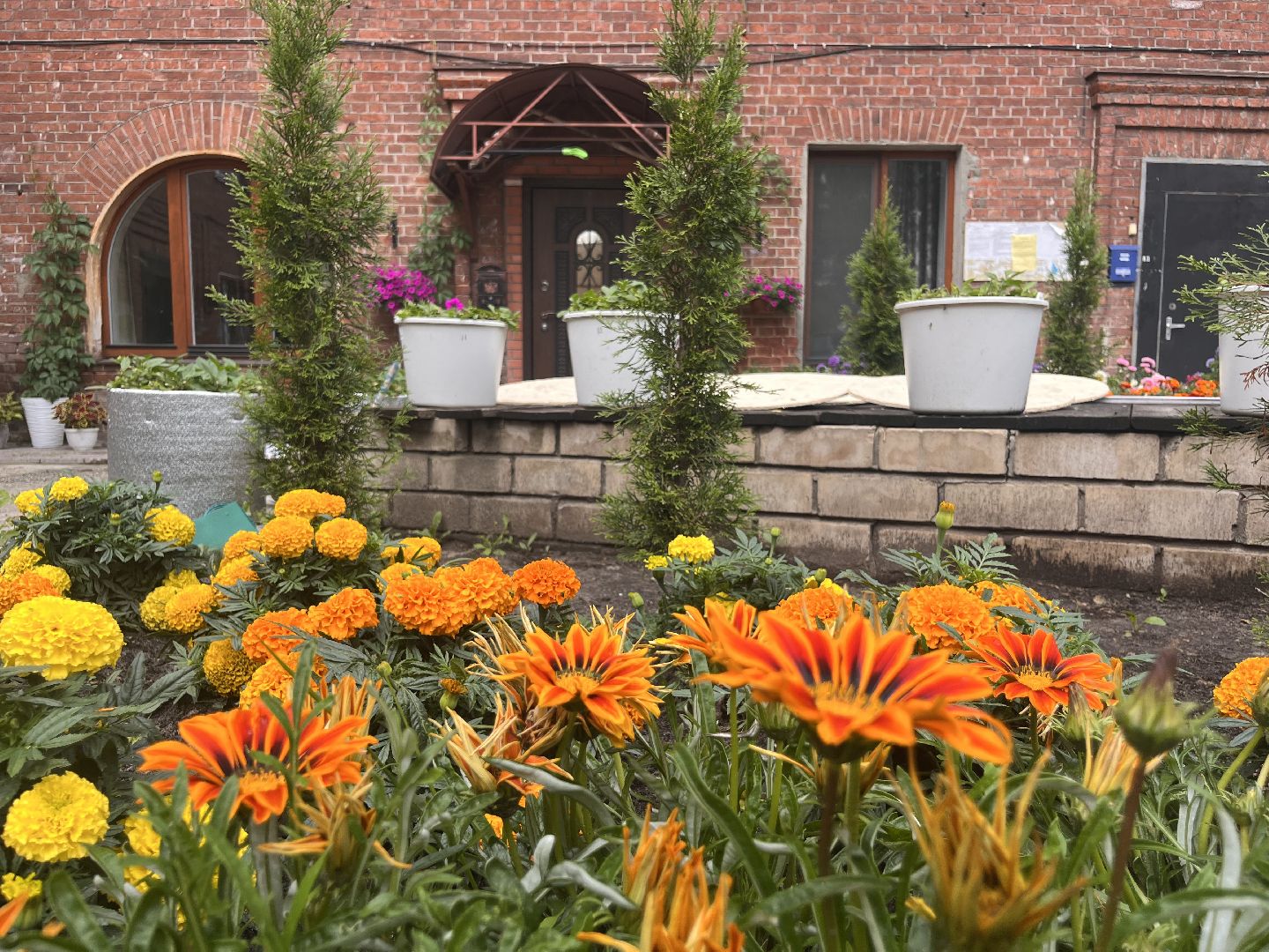 шатура, Цветы,