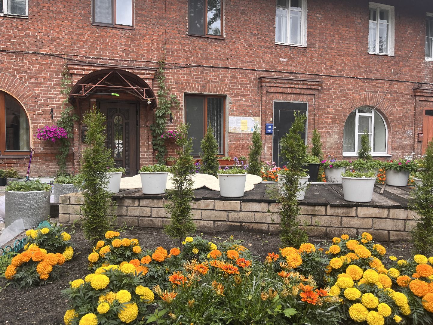 шатура, Цветы,