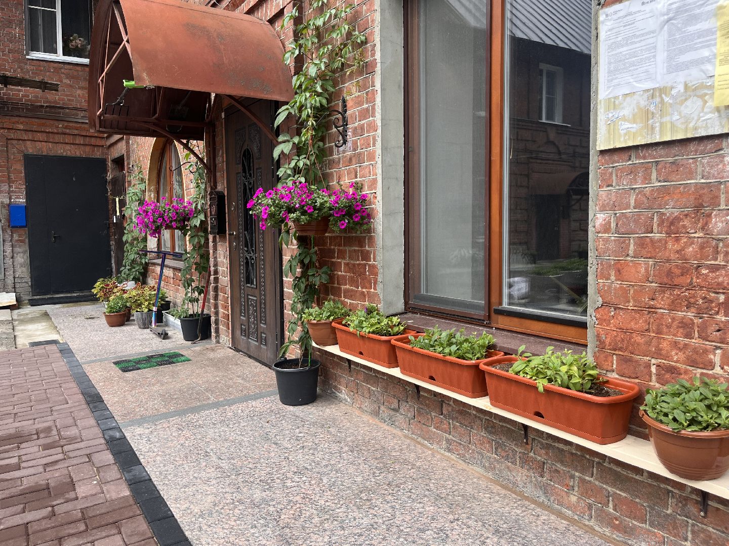 шатура, Цветы,